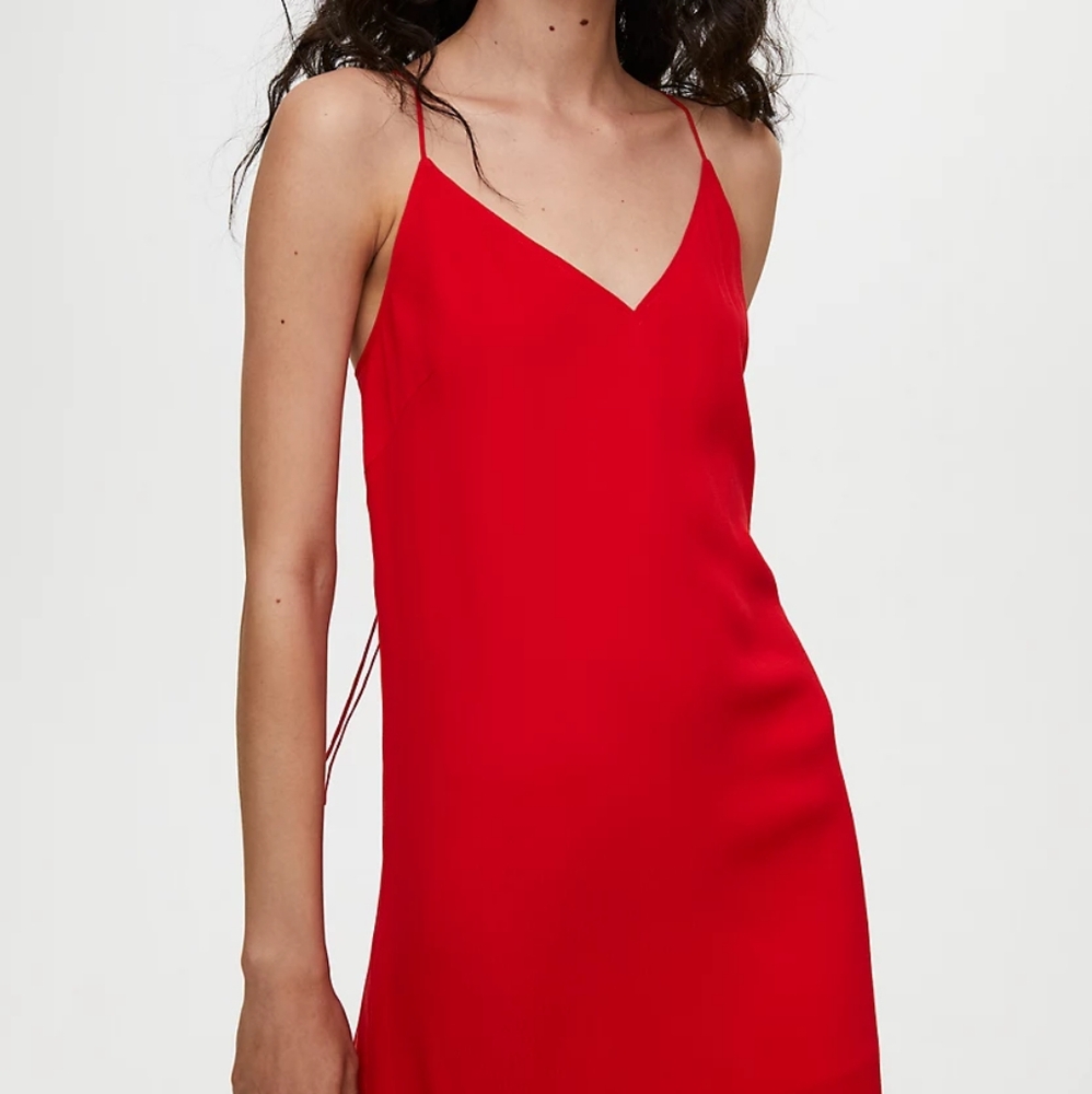Aritizia Slip Dress